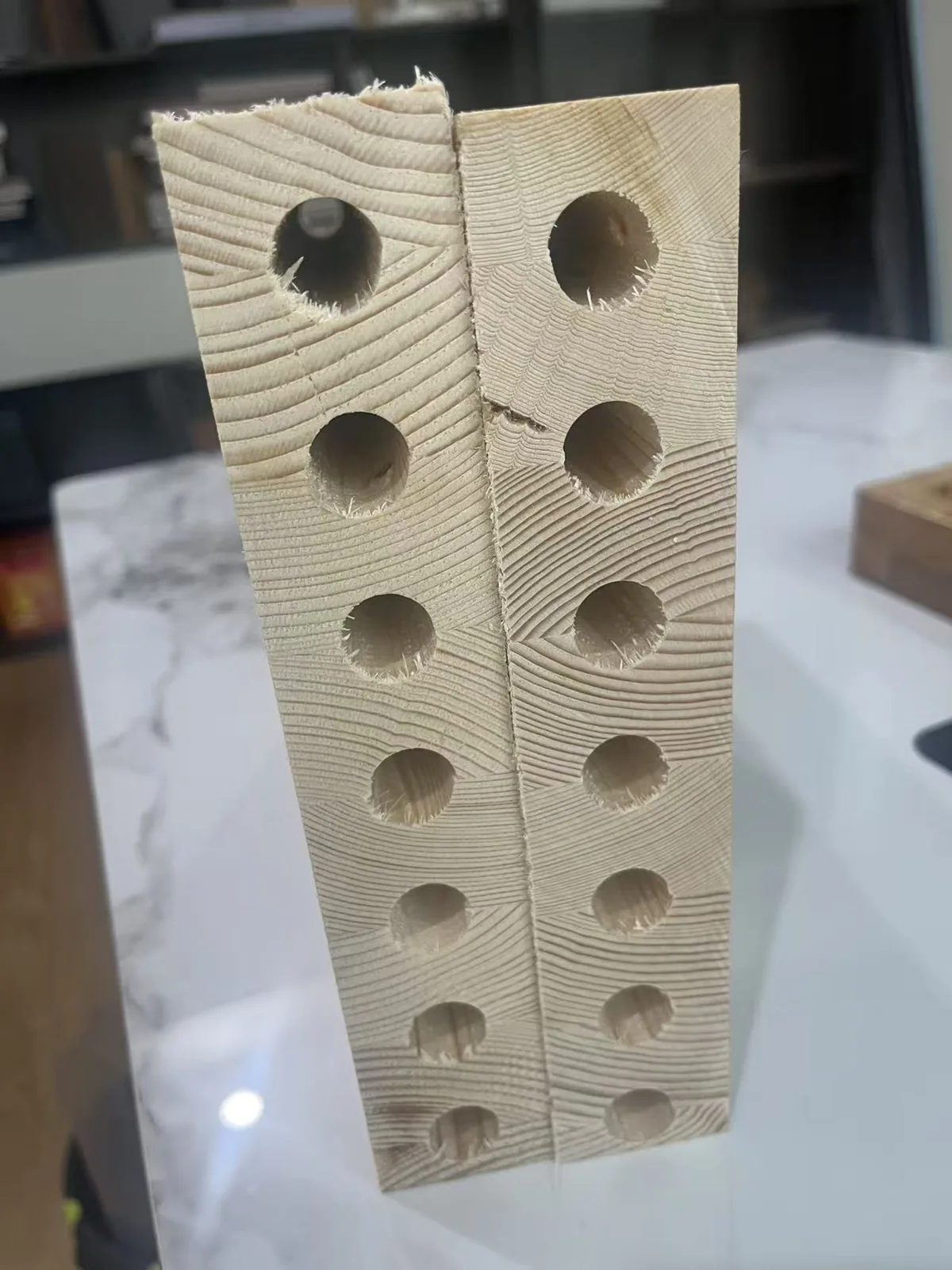 门芯内部结构样品
